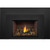 Napoleon OAKVILLE 3 Direct Vent Electronic Ignition Natural Gas Fireplace Insert - GDI3NE-1