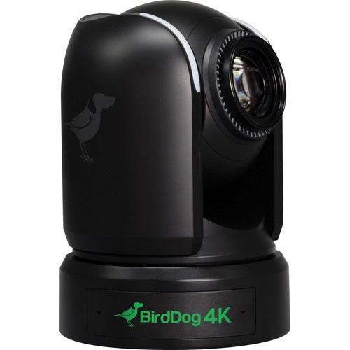 BirdDog P4K 4K Full NDI PTZ Camera (Black)