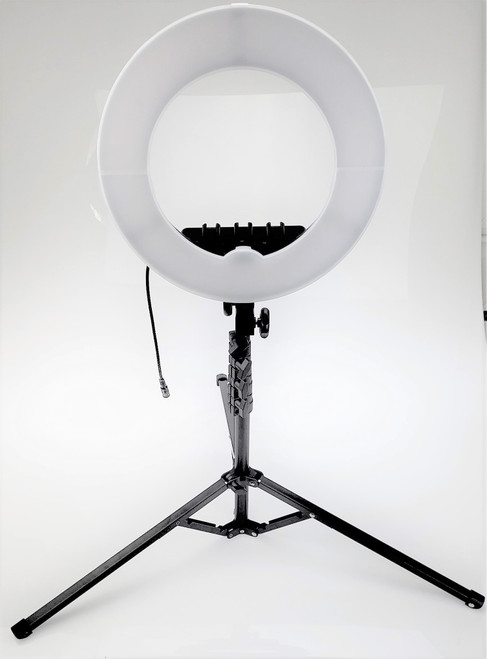 Prismatic Halo Mini LED Ring Light with Compact 6 ft. Stand
