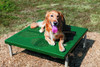Novice Dog Park Kit - Dog Grooming Table Novice Dog Park Kit - Dog Grooming Table