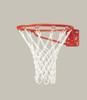 shiny new basketball rim and net