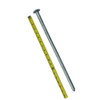 18-Inch Spike