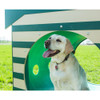 Small Dog Course - Crawl Tunnel with Dog House ends