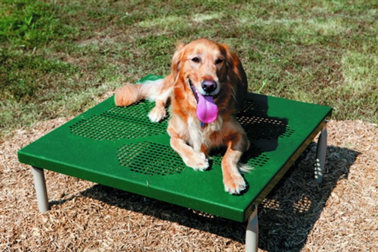 Novice Dog Park Kit - Dog Grooming Table Novice Dog Park Kit - Dog Grooming Table
