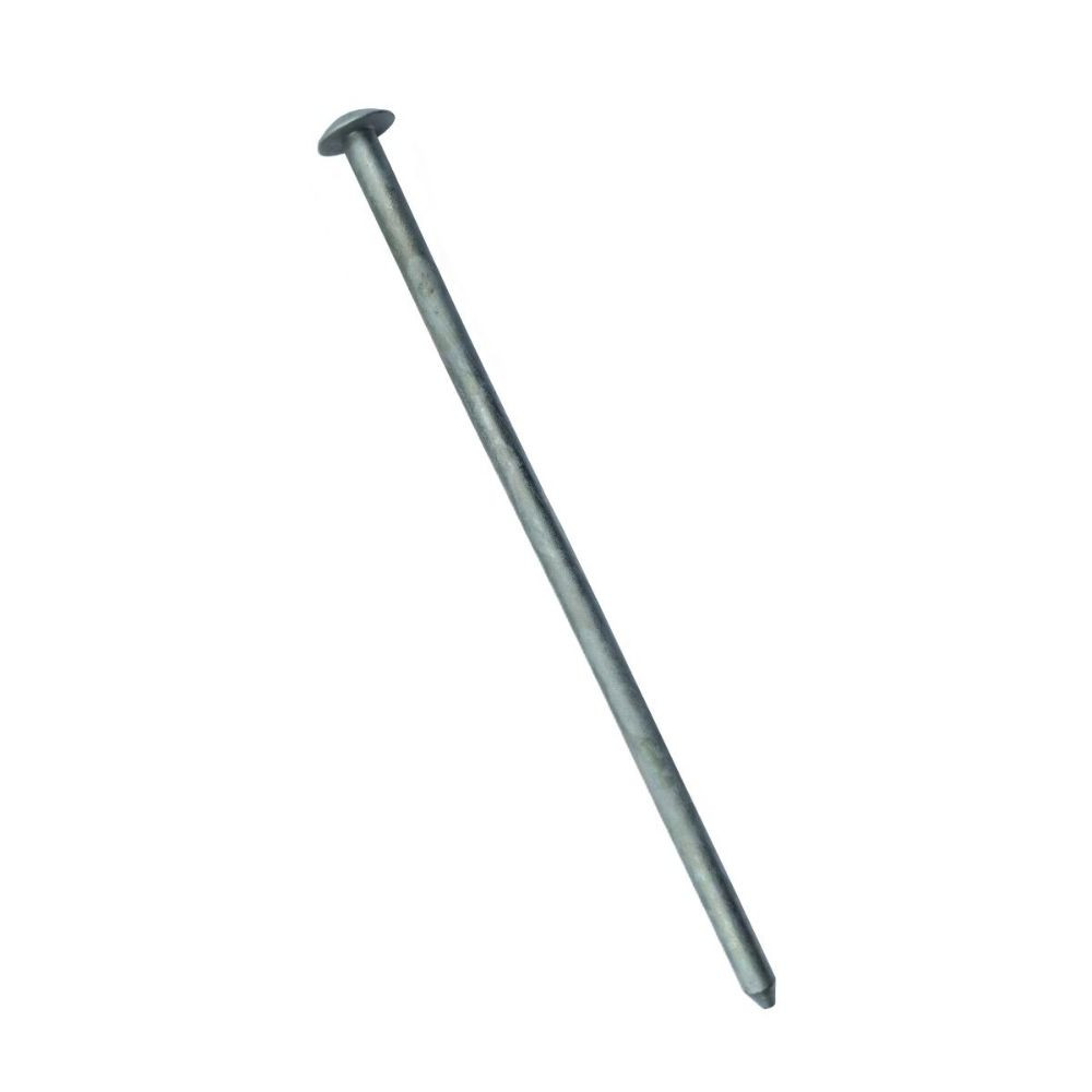 Anchor Spike