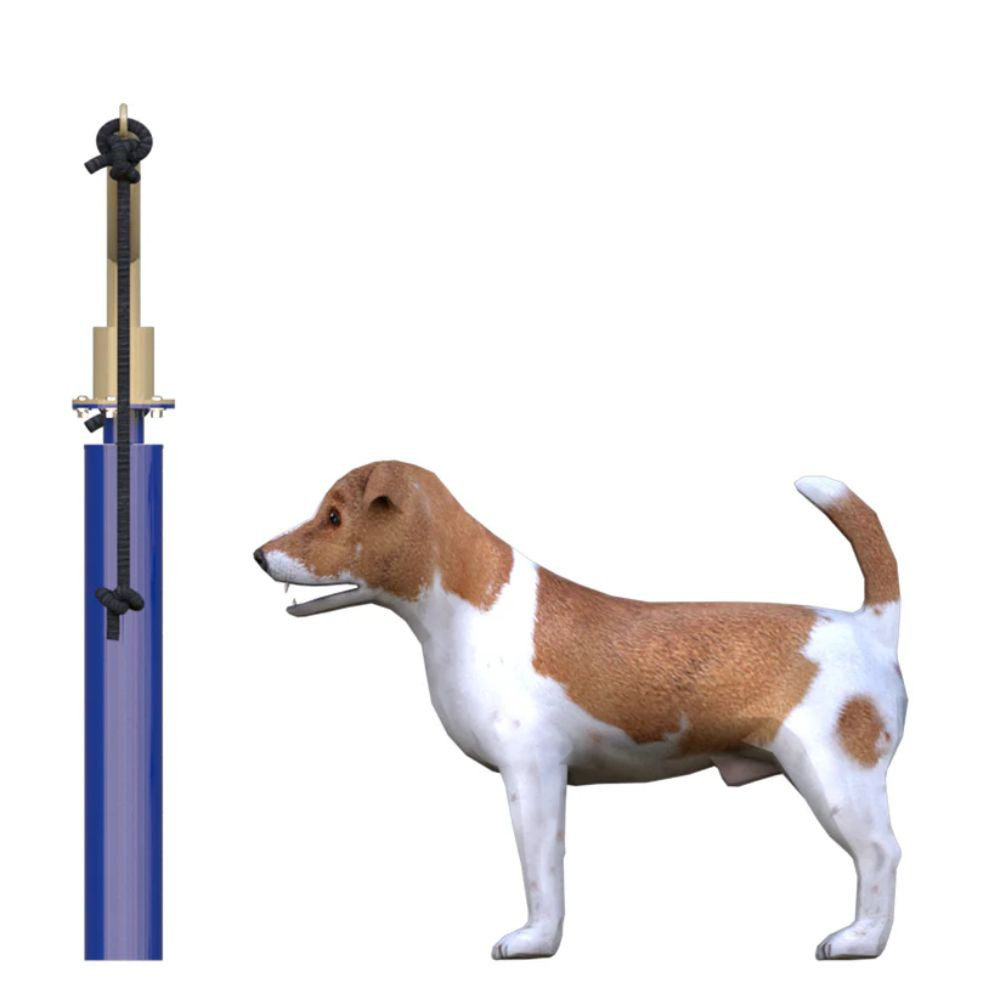 Dog Pull Challenge Tug Around - Side View Example