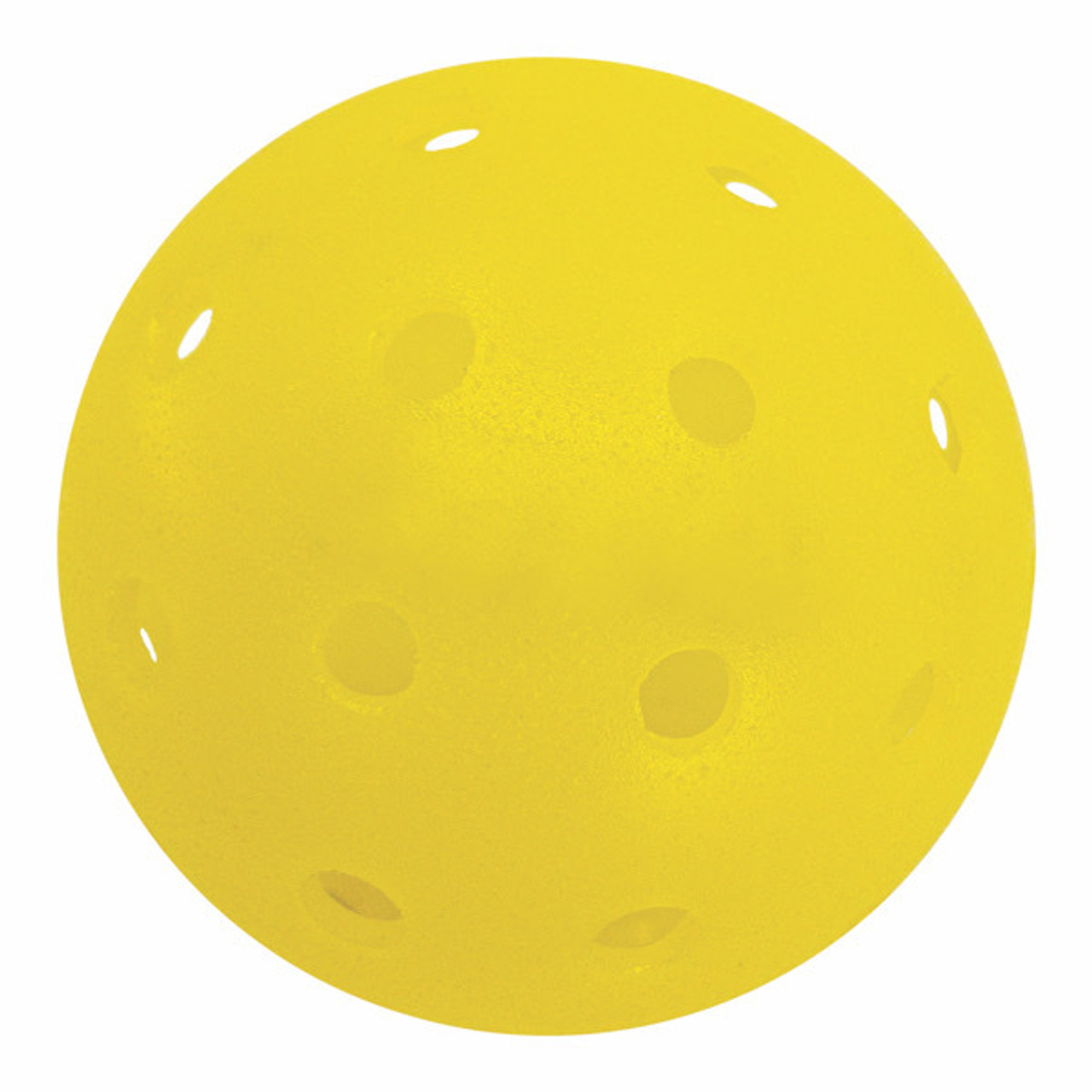 Roto Molded Outdoor Pickleball