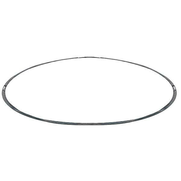 Champion Sports RHINO Lacrosse Crease