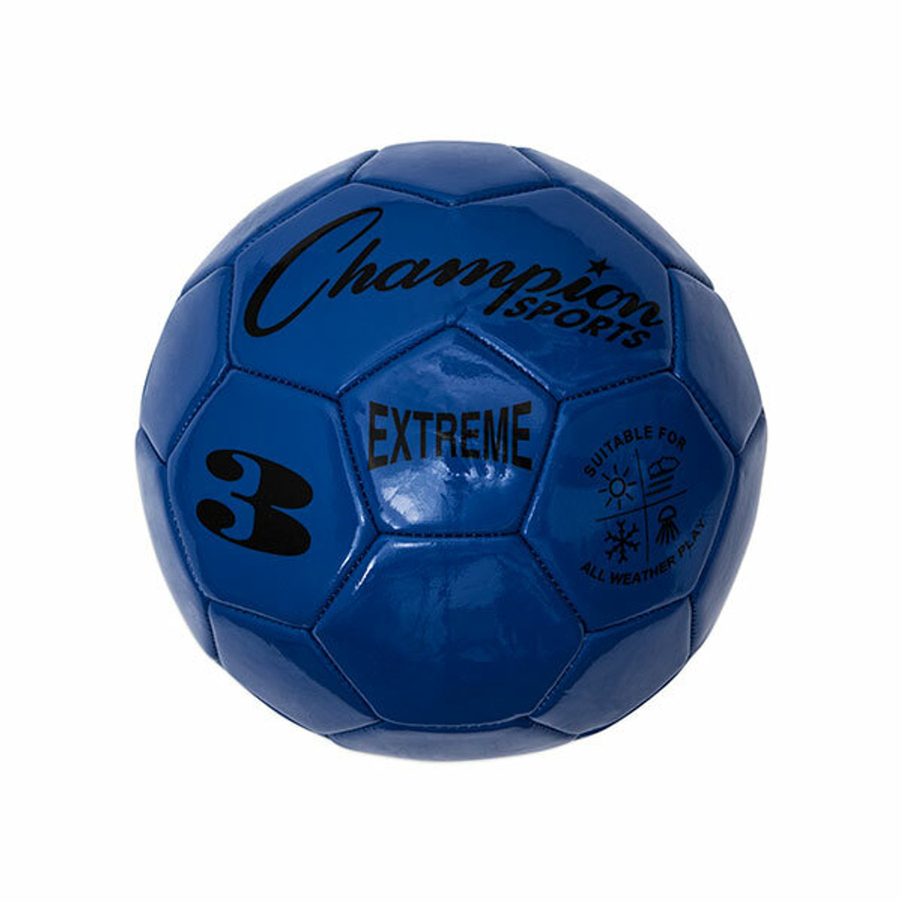 Champion sports discount soccer ball