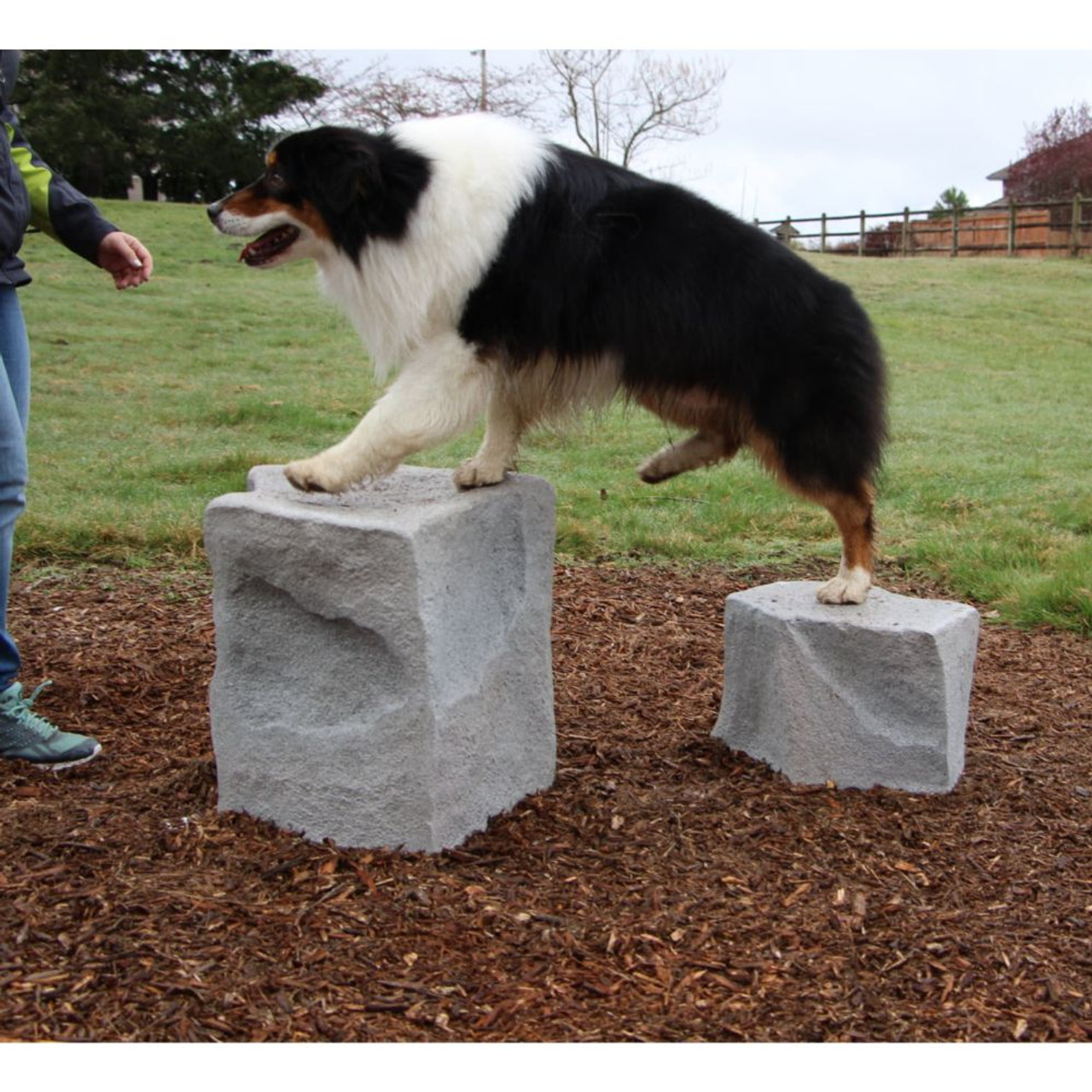 Dog Park Stepping Stone