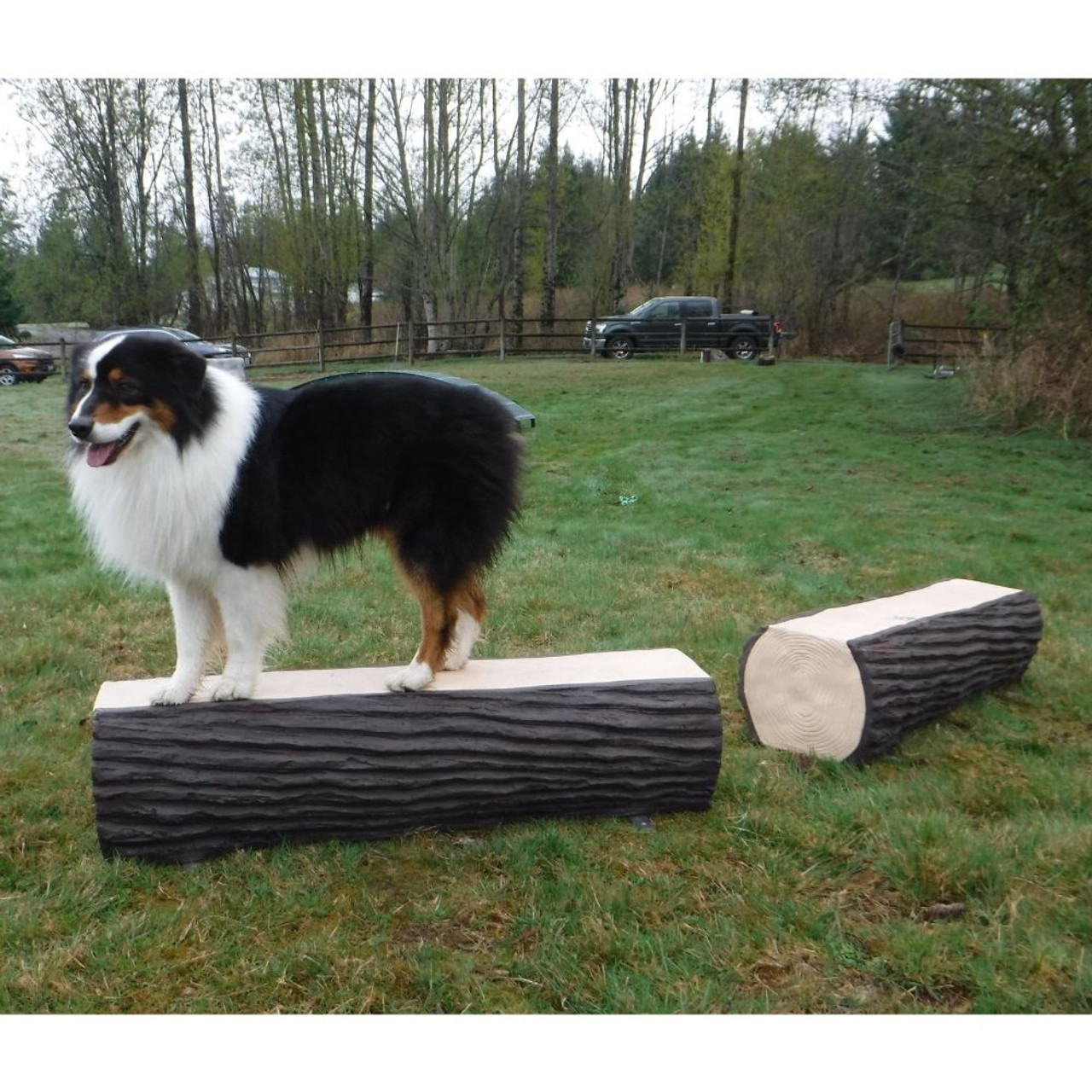 Nature Dog - Dog Park - Dog Leg Walk Log Set of 2