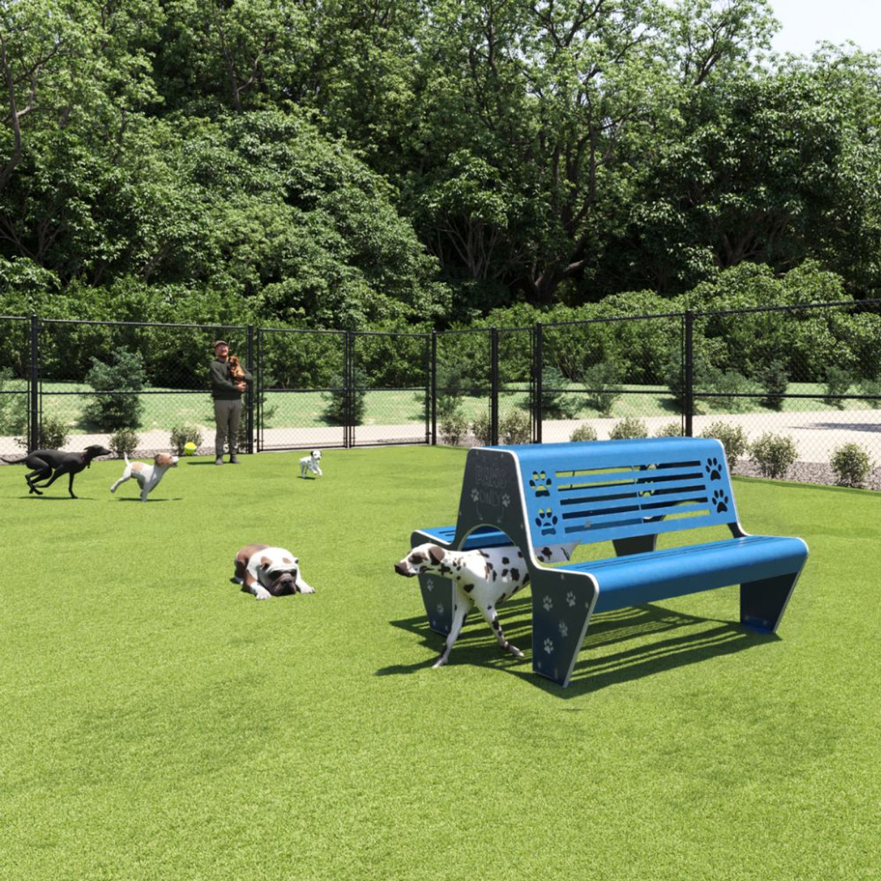 Pup Passage and Dog Bench - playful bench color