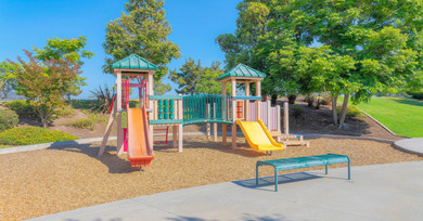 The Intersection of Playground Design and Landscaping