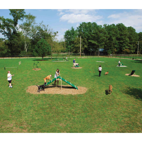 dog trainers training their dogs with expert agility course equipment dog trainers training their dogs with expert agility course equipment
