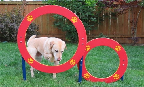 Dog Park Double Hoop Jump Dog Park Double Hoop Jump