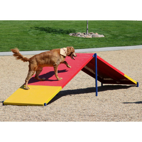 Dog Park Ramp with A-Frame