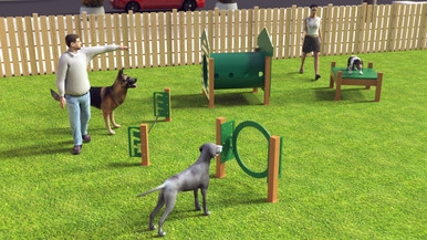 Recycled Small Dog Agility Course - Adventure Playground