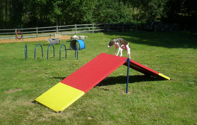 A Frame Dog Park Ramp
