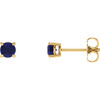 14 Karat Yellow Gold 5mm Round Lab Created Blue Sapphire Earrings