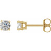 White Diamond Earrings in 14 Karat Yellow Gold 1/2 Carat Diamond Earrings 