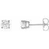 Moissanite Earrings in 14 Karat  Gold 4 mm Round Created Moissanite Earrings