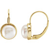 14 Karat Yellow Gold 7.5mm Freshwater Cultured Pearl Lever Back Earrings