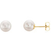 14 Karat Yellow Gold 7mm White Akoya Pearl Earrings