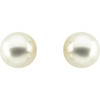 14 Karat Yellow Gold 12mm Button South Sea Cultured Pearl Earrings