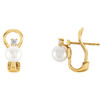 14 Karat Yellow Gold Freshwater Pearl and 0.12 Carat Diamond Earring