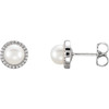 14 Karat White Gold 5.5 6mm Genuine Freshwater Pearl Earrings
