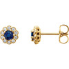 14 Karat Yellow Gold Round Genuine Blue Sapphire and 0.16 Carat Diamond Earrings