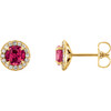 14 Karat Yellow Gold 4mm Round Lab Created Ruby and 0.12 Carat Diamond Earrings