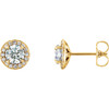 14 Karat Yellow Gold 0.75 Carat Diamond Halo Style Earrings