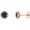Buy 14 Karat Rose Gold Blue Sapphire and 0.17 Carat Diamond Earrings