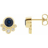 14 Karat Yellow Gold Genuine Blue Sapphire and 0.13 Carat Diamond Earrings