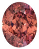 AfricaGems Certified Brown Zircon - Oval Cut - Faceted Gemstone - 11.29 carats - 14.5 x 11.3mm
