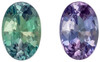 Vibrant Color Alexandrite - Oval Cut - 0.74 carats - 6.5 x 4.4mm - AfricaGems Certificate