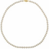 14 Karat Yellow Gold Cultured Freshwater Pearl 16 inch Strand