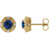 14 Karat Yellow Gold 5 mm Natural Blue Sapphire and 0.16 Carat Natural Diamond Halo Style Earrings