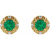 14 Karat Yellow Gold 6 mm Natural Emerald and 0.25 Carat Natural Diamond Halo Style Earrings