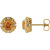 14 Karat Yellow Gold 6 mm Natural Citrine and 0.25 Carat Natural Diamond Halo Style Earrings