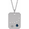 14 Karat White Gold Natural Blue Sapphire and .0075 Carat Natural Diamond Capricorn Zodiac 16 inch Necklace