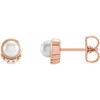 14 Karat Rose Gold Cultured Akoya Pearl and .02 Carat Natural Diamond Earrings