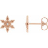 14 Karat Rose Gold .0075 Carat Natural Diamond Snowflake Earrings