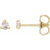 14 Karat Yellow Gold .08 Carat Rose Cut Natural Diamond 3 Prong Claw Earrings
