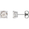 14 Karat White Gold 0.13 Carat Rose Cut Natural Diamond Stud Earrings