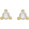 14 Karat Yellow Gold .04 Carat Rose Cut Natural Diamond Earrings