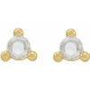 14 Karat Yellow Gold 0.20 Carat Rose Cut Natural Diamond Earrings.