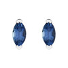 Platinum Natural Tanzanite Earrings