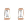 14 Karat Rose Gold 0.20 Carat Natural Diamond Channel Set Earrings